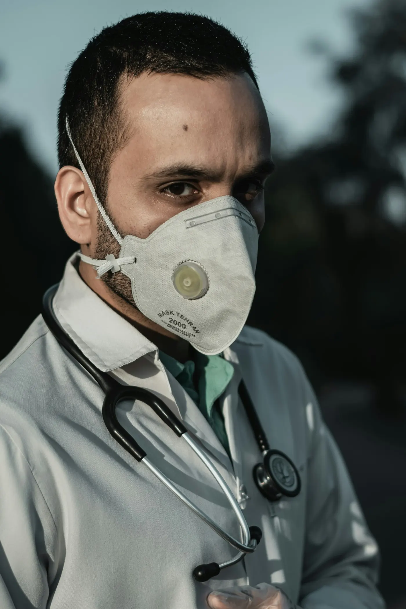 Radiology technologist reviewing an X-ray image